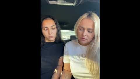 Media: keep_us_wild Stripchat 2024-11-24 04:53:00