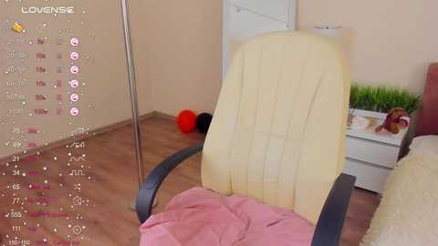 Media: mary_mey Stripchat 2024-11-24 21:53:00