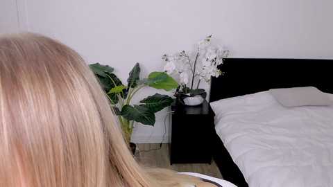 Media: nicole_youthfull Stripchat 2024-11-24 22:16:00