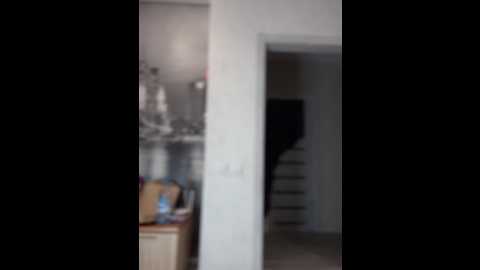 Media: adelina0001 Stripchat 2024-11-25 03:01:00