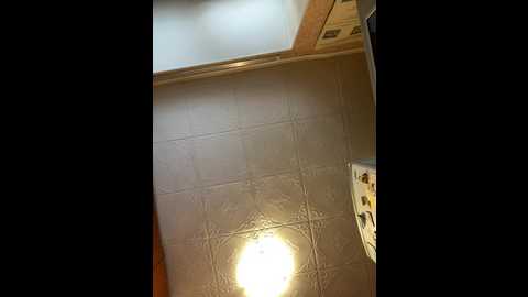 Media: ammyhot Stripchat 2024-11-25 06:08:00