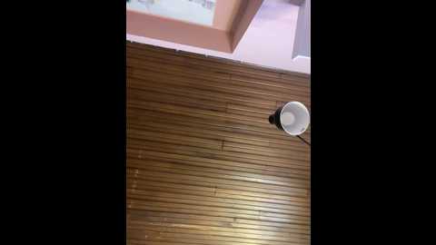 amy_litt @ stripchat on 20241125