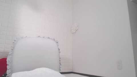 Media: kamizono_maria Stripchat 2024-11-25 12:43:00