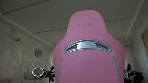 Media: tiffanyhouston_ Stripchat 2024-11-25 10:42:00
