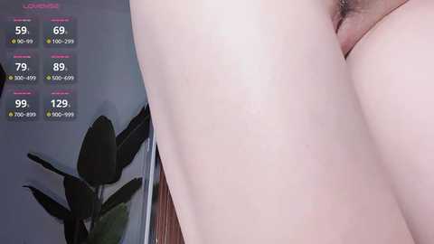 Media: krismil3 Stripchat 2024-11-26 08:02:00