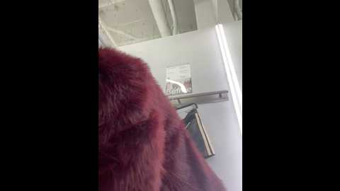 Media: lexy__foxy Stripchat 2024-11-26 12:30:00