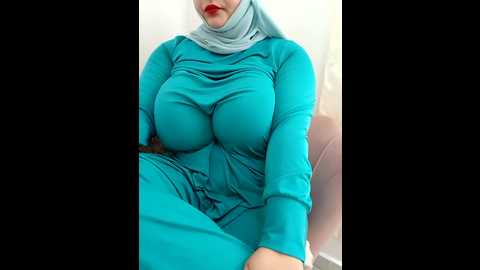 Media: amalarabic Stripchat 2024-11-27 11:22:00