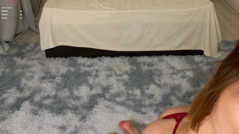 Media: aryamirelle Stripchat 2024-11-27 20:48:00