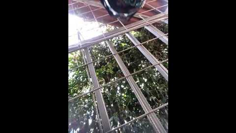 Media: emma_tour Stripchat 2024-11-27 16:19:00