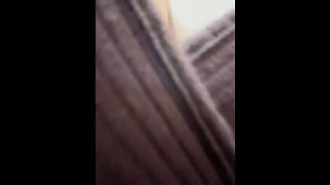 Media: sara_fun Stripchat 2024-11-27 18:00:00