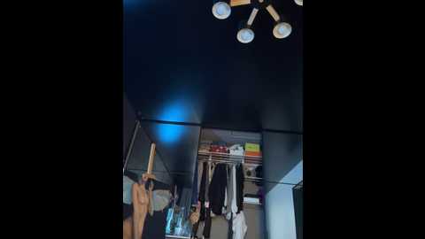 Media: sssativa_model Stripchat 2024-11-27 06:24:00