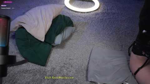 Media: anna_mariia Stripchat 2024-11-28 06:48:00