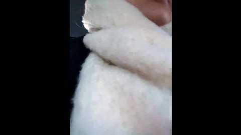 Media: morphine_666 Stripchat 2024-11-28 03:39:00
