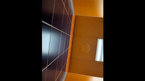 Media: morphine_666 Stripchat 2024-11-28 08:45:00