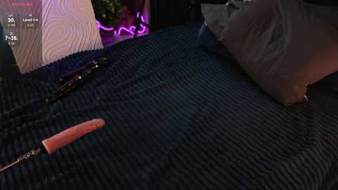 Media: wetwhims Stripchat 2024-11-28 06:16:00