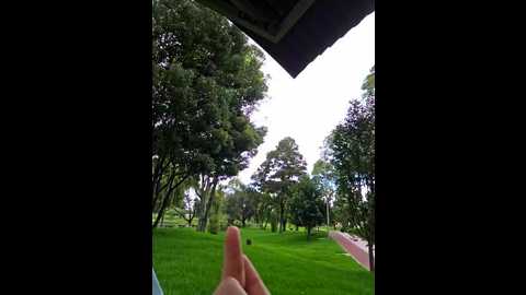 Media: alyshanon18 Stripchat 2024-11-29 19:16:00