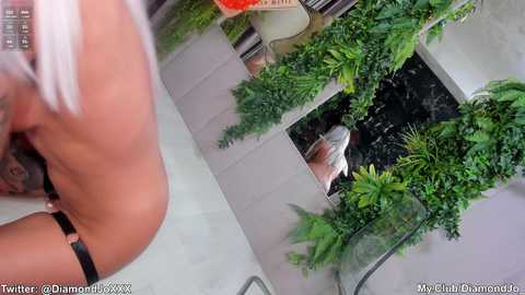 Media: diamondjo_ Stripchat 2024-11-29 07:39:00