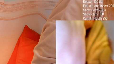 Media: jannemary Stripchat 2024-11-29 07:55:00