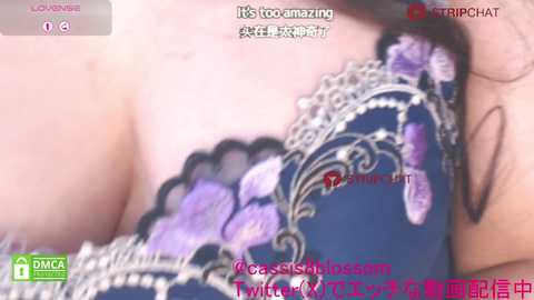Media: casiojapan Stripchat 2024-11-30 06:03:00