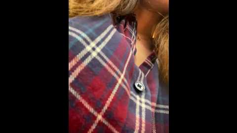 Media: dina_tease Stripchat 2024-11-30 13:10:00