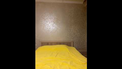 Media: kim_slo Stripchat 2024-11-30 17:44:00