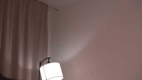 Media: natsumitooo_ Stripchat 2024-11-30 17:57:00
