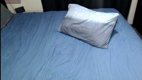 Media: aussiepeaches Stripchat 2024-12-01 11:37:00