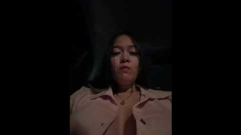 Media: danielavegax Stripchat 2024-12-01 03:20:00