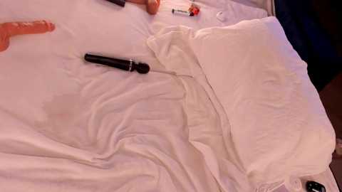 Media: furry_bear Stripchat 2024-12-01 16:40:00
