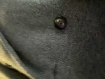 Media: justmila Stripchat 2024-12-01 12:46:00