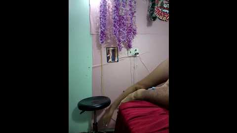 Media: zizi_public Stripchat 2024-12-01 02:27:00