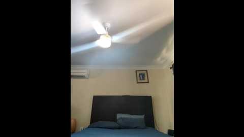 Media: aussiepeaches Stripchat 2024-12-02 03:29:00
