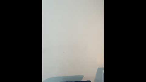 Media: brendacrean Stripchat 2024-12-02 11:11:00
