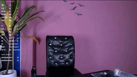 lana_rid @ stripchat on 20241202