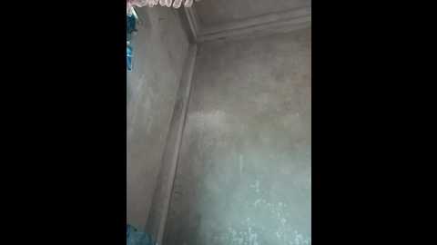 monsweety_vn @ stripchat on 20241202