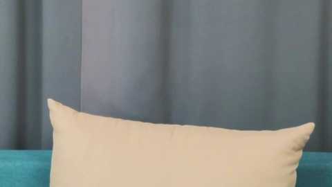 Media: amy_beach Stripchat 2024-12-03 17:44:00