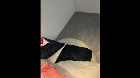 Media: clarachanelricek Stripchat 2024-12-03 02:27:00
