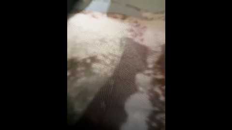 Media: game_yoyo Stripchat 2024-12-03 07:22:00