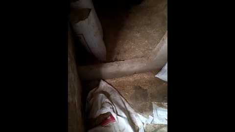 Media: indiankanak Stripchat 2024-12-03 06:02:00