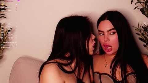 Media: katerinetailor Stripchat 2024-12-03 16:06:00