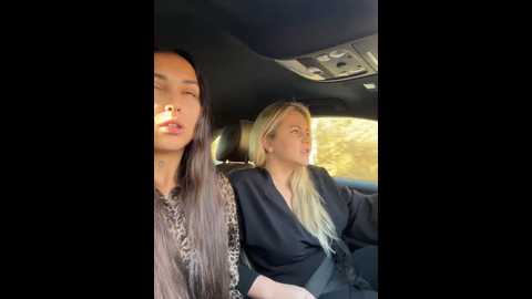 Media: keep_us_wild Stripchat 2024-12-03 05:17:00