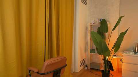 Media: _vixenp Stripchat 2024-12-04 19:59:00