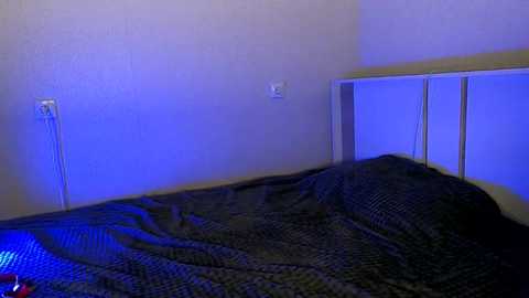 Media: belochka_a Stripchat 2024-12-04 00:15:00