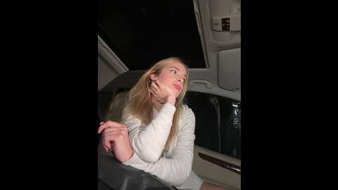 Media: evieevans Stripchat 2024-12-04 20:04:00