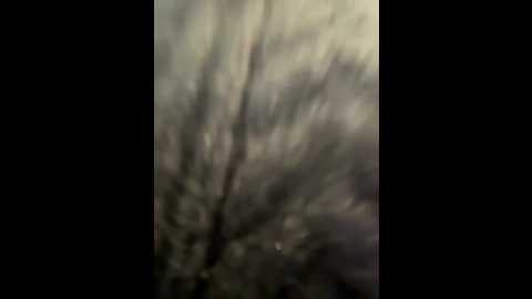 Media: game_yoyo Stripchat 2024-12-04 11:30:00