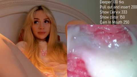 Media: jannemary Stripchat 2024-12-04 03:59:00