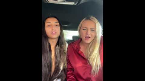 Media: keep_us_wild Stripchat 2024-12-04 05:30:00