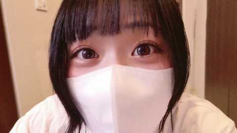 Media: mia__meow Stripchat 2024-12-04 11:48:00