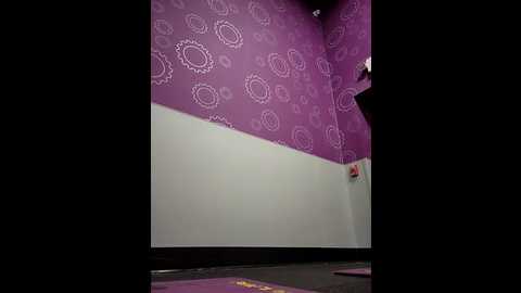 Media: sheenabrooke Stripchat 2024-12-04 17:50:00