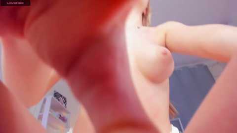 yunabif @ stripchat on 20241204